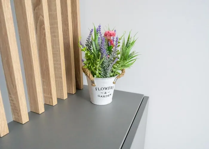 Your New And Modern Apartament *